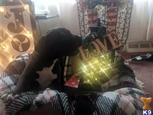 american pit bull puppy posted by Lady Love